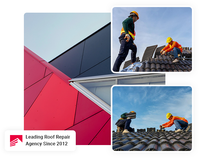 roof painting and cleaning services
