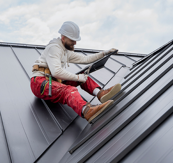 roof painting and cleaning services